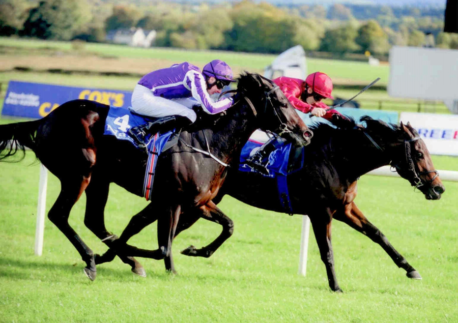 Sniper Naas Sun 20th Oct